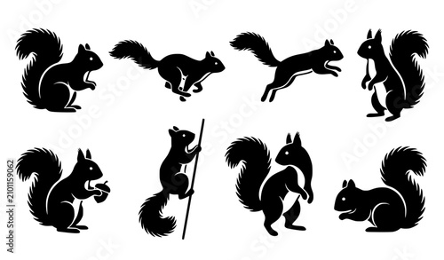 Squirrel Silhouettes Vector Collection EPS10