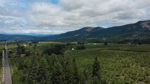 Rising flight over green landscape and fruit orchards in rural Oregon, cooper spur road