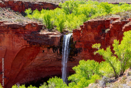 A waterfall cascades down red sandstone cliffs surrounded by lush green vegetation in a desert canyon.