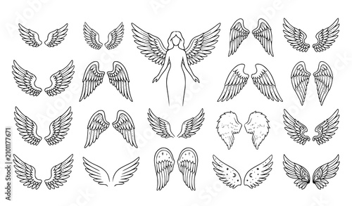 Collection of various angel wing designs and illustrations on white background wings