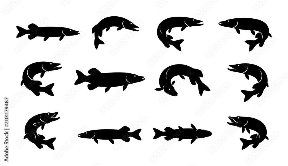 Obraz premium Pike Fish Silhouettes Collection, Freshwater Predator Vector Icons, Aquatic Wildlife Graphic Elements, Sport Fishing Symbols