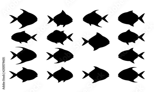 Fotografía Set of 16 Black Silhouette Fish Icons, Marine Life Vector Graphics, Aquatic Anim