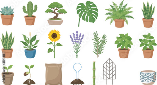 Tableau sur toile Diverse indoor plant collection with gardening tools a botanical illustration fo