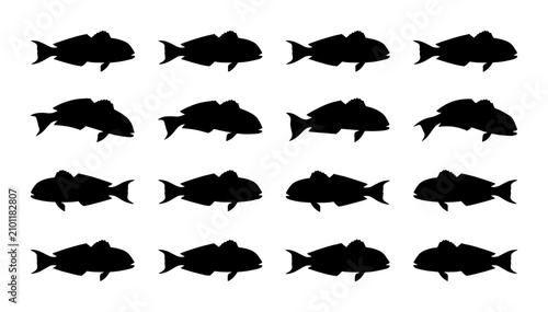Cuadro en lienzo Vector Silhouette Fish Collection, Aquatic Life Icons, Marine Animal Graphics, S