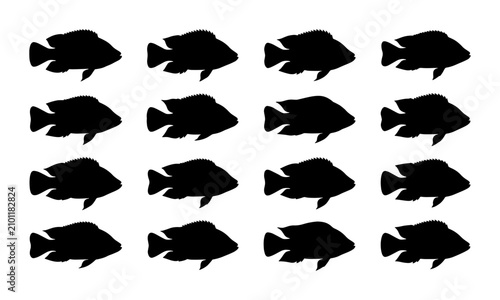 Foto 16 Black Silhouette Cichlid Fish Icons, Aquatic Animal Vector Graphics, Simple U