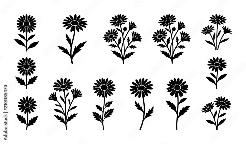 Fototapeta premium Black Silhouette Daisy Flower Vector Set, Botanical Floral Elements, Minimalist Garden Blooms, Decorative Nature Graphics