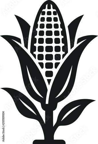 Obraz na płótnie Minimalist black and white corn stalk graphic illustration.