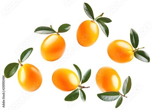 Ripe marian plums with glossy skin and green leaves scattered isolated on white background, freshness and tropical fruit concept