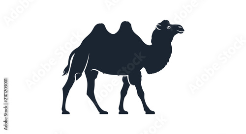 Obraz na płótnie Dark silhouette of a dromedary camel against a white background silhouette