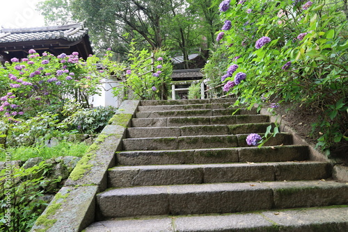 Canvastavla A Japanese temple : a scene of the precincts to Hase-dera Temple in Sakurai City