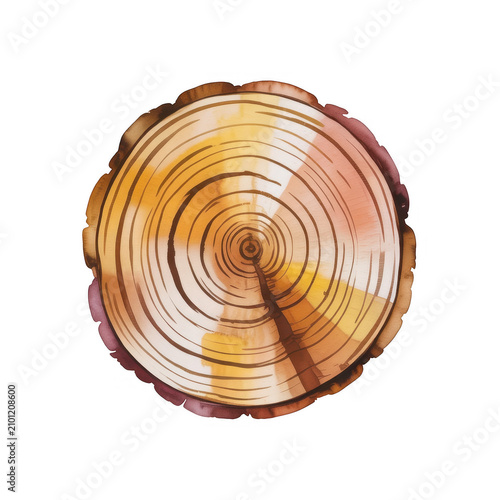 A tree trunk cross-section with visible rings on a black background