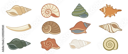 Fotografía Assorted Seashell Collection Illustration