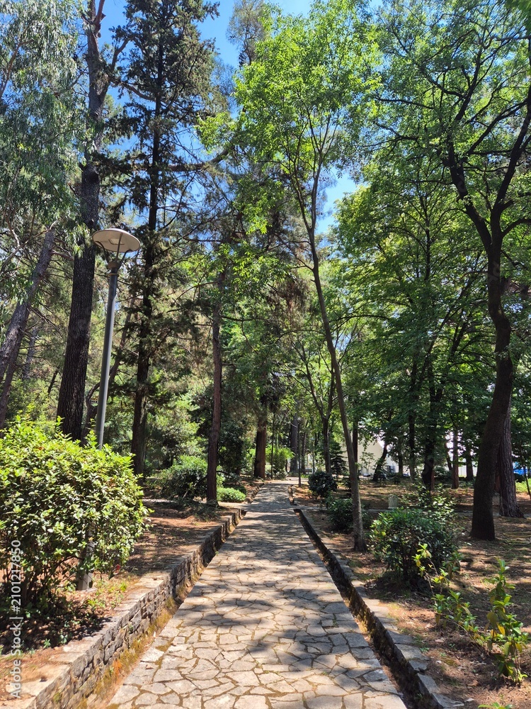 Fototapeta premium path in the park tivat