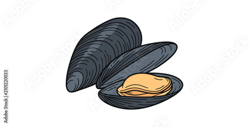 Konstfotografi Mussels Hand Drawn Vector Illustration