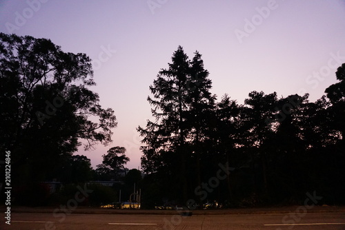 sunset in the park