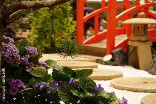 flowers in a garden