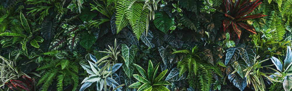 Obraz premium Full Frame of Green Leaves Pattern Background, Nature Lush Foliage Leaf Texture, tropical leaf