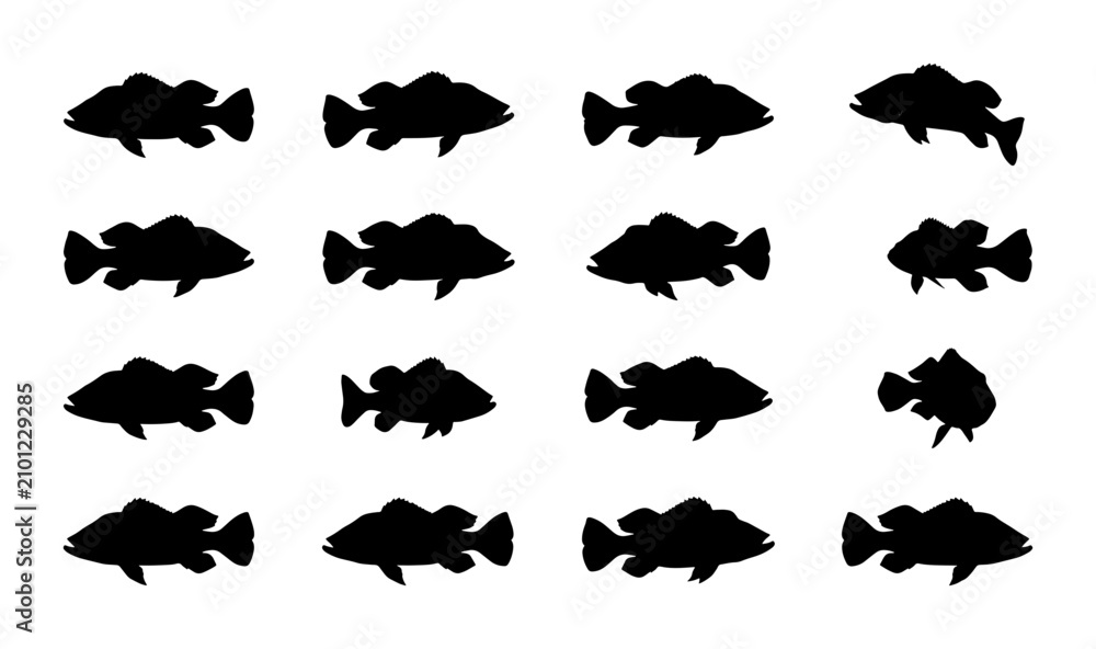 Fototapeta premium Black Silhouette Fish Collection, Aquatic Life Icons, Marine Animal Graphics, Underwater Wildlife Vector Set