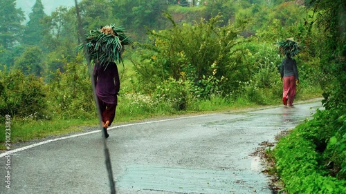 Village Women Carrying Fodder on Their Heads During Rain in Dhanaulti, Uttarakhand | 4K