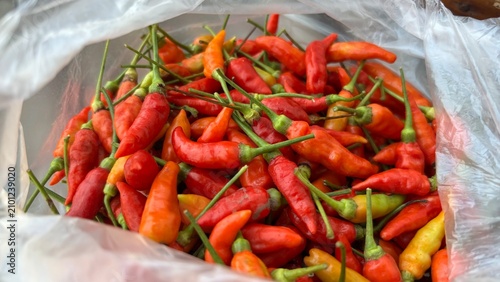 Obraz na plátně pile of red bird's eye chilies