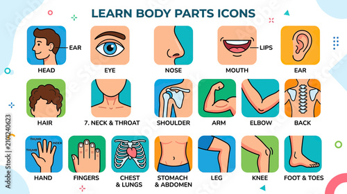 Learn Body Parts Icons for Kids Education