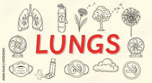 Cuadro en lienzo Lungs Health Respiratory System Illustration.