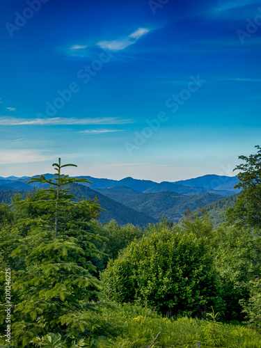 Sunny Carpathian peaks: green valleys and cloudy skies.