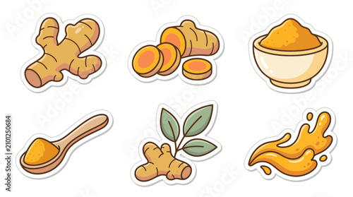 Turmeric and ginger root, slices, powder and herbal leaves