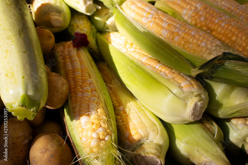 Fresh Corn Cobs at Farmers Market with Potatoes