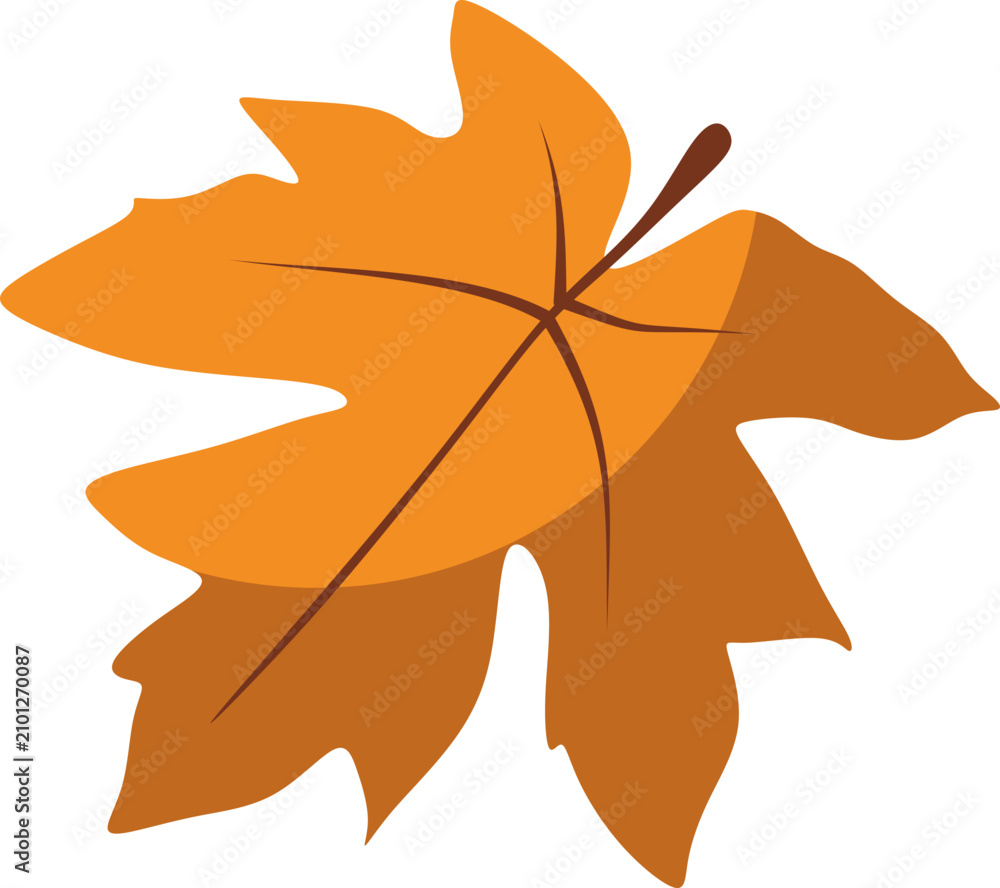 Naklejka premium Autumn Maple Leaf Illustration