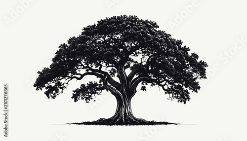 фотографія Large tree with sprawling branches silhouette.