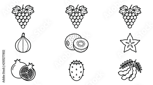 Fotografie Vector Fruit Icons Set, Fresh Produce Line Art Collection, Healthy Food Symbols