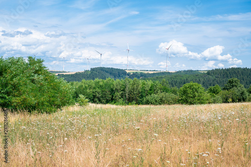 Tableau sur toile Moselle valley landscape, grassland and forest, summer meadow, wind turbines on