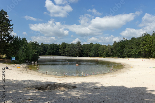 Sunny summer view of the Zwarte Dennen Lake, in Staphorst Forest, Punthorst, near Meppel, the Netherlands. It is a popular swimming and recreation spot in Overijssel.