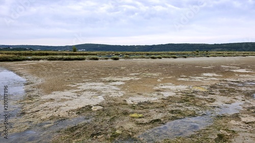 Salt crust and muddy flats at Secovlje Salina, Slovenia