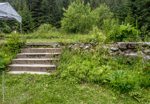 Schilderij op canvas Concrete stairs and the remnant foundation of the former Pietrele mountain hut, which burned down years ago, now surrounded by lush, overgrown forest vegetation in the Retezat Mountains, Romania