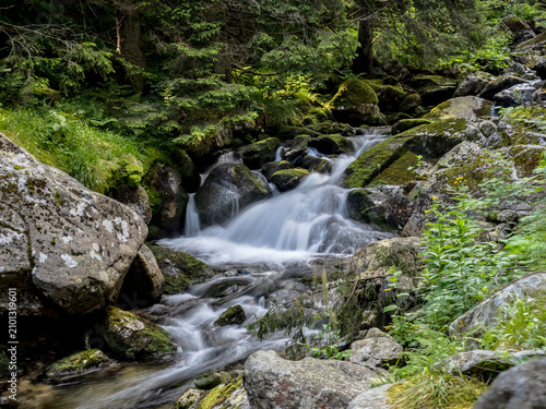 A long exposure photograph capturing the smooth, silky flow of a wild mountain stream as it cascades over moss-covered rocks within a dense coniferous forest in the Retezat Mountains, Romania.