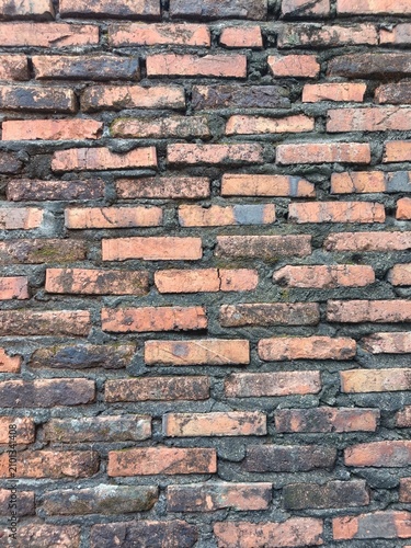 Fotografía Textured brick wall with moss and varied colors