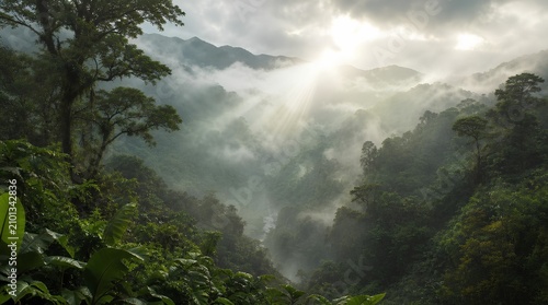 Sunbeams break through clouds over a misty tropical rainforest valley and mountain canopy, suited to eco travel, conservation, and adventure promotion.
