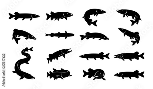 Photography Diverse Freshwater Fish Silhouettes Collection, Predatory Aquatic Animals Vector
