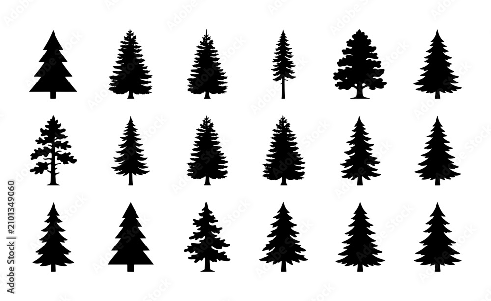 Fototapeta premium Diverse Evergreen Tree Silhouettes, Pine and Fir Forest Icons, Nature Woodland Vector Collection for Design