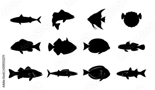 Canvastavla Diverse Fish Silhouettes Collection, Aquatic Life Vector Icons, Marine Animal Sh