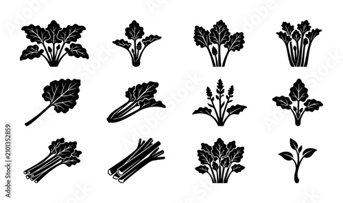 Canvastavla Herbal Plant Icons, Leafy Greens Vector Set, Botanical Illustration Collection,