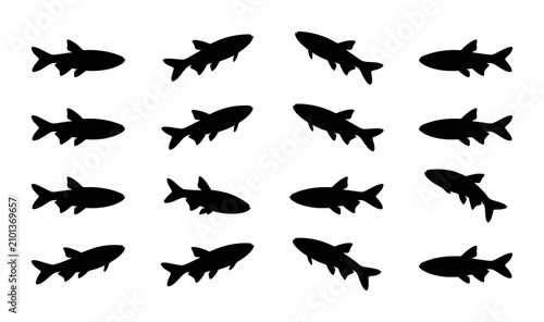 Cuadro en lienzo Silhouette Fish Collection, Aquatic Wildlife Icons, Marine Animal Graphics, Vect