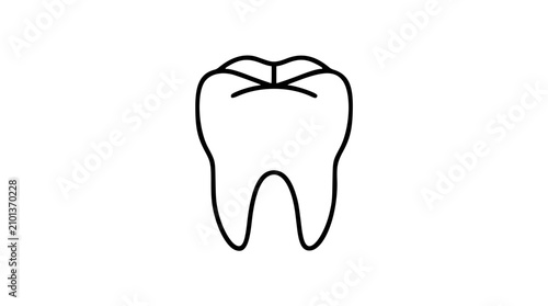 Foto Clean black and white line art vector icon of a detailed molar tooth with roots, designed for dental practices, educational diagrams, or medical reference guides