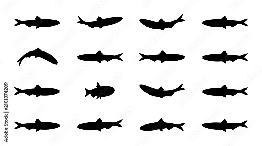 Fototapeta premium School of Sardine Silhouettes, Fish Vector Icons, Aquatic Life Collection, Marine Animal Graphics, Seafood Elements, Underwater Schooling Behavior, Simple Black and White Icons