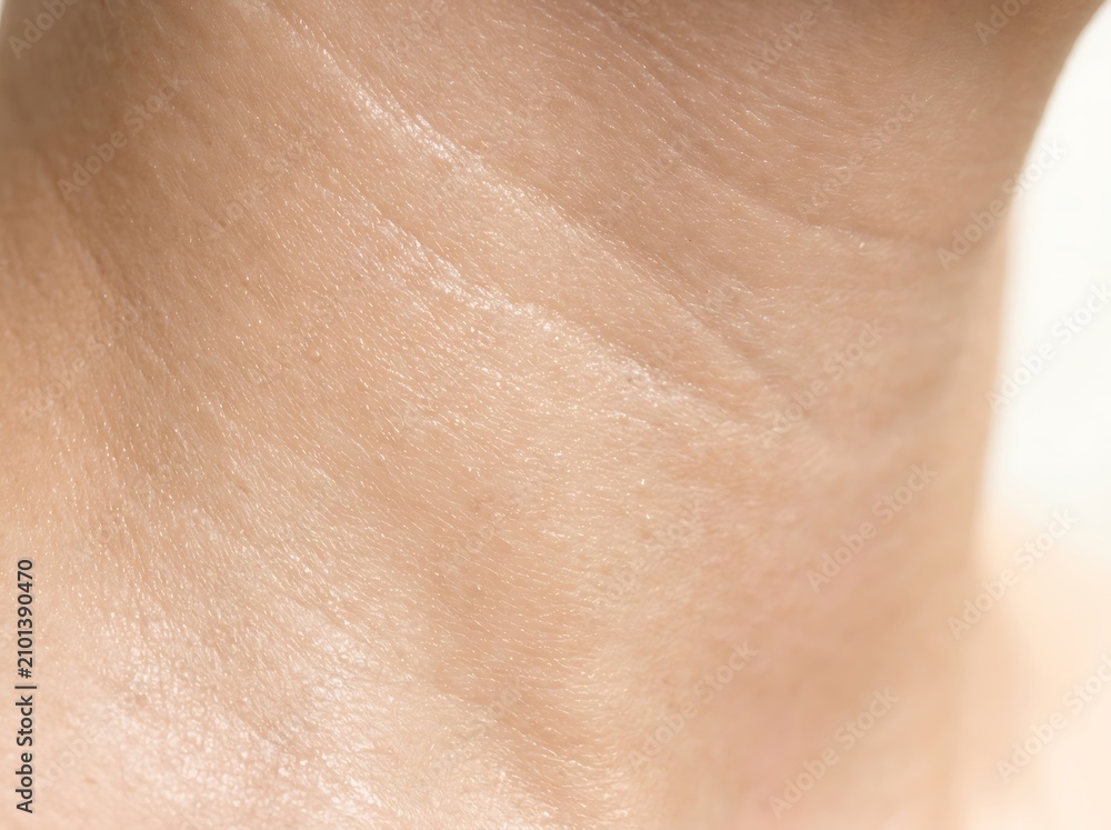 Fototapeta premium Detail of skin texture on a human neck