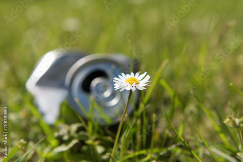 an empty can thrown behind a daisy