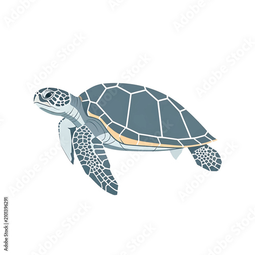 Fotografía Sea Turtle Swimming in Ocean Water.