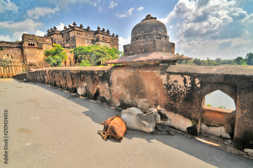 Φωτογραφία Jahangir Mahal, Citadel of Jahangir - a citadel and garrison located in Orchha, Madhya Pradesh, India